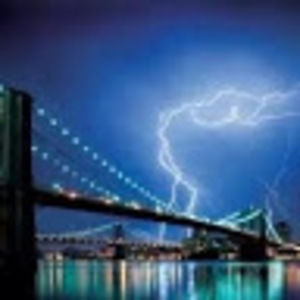 Meet your Posher, Owen